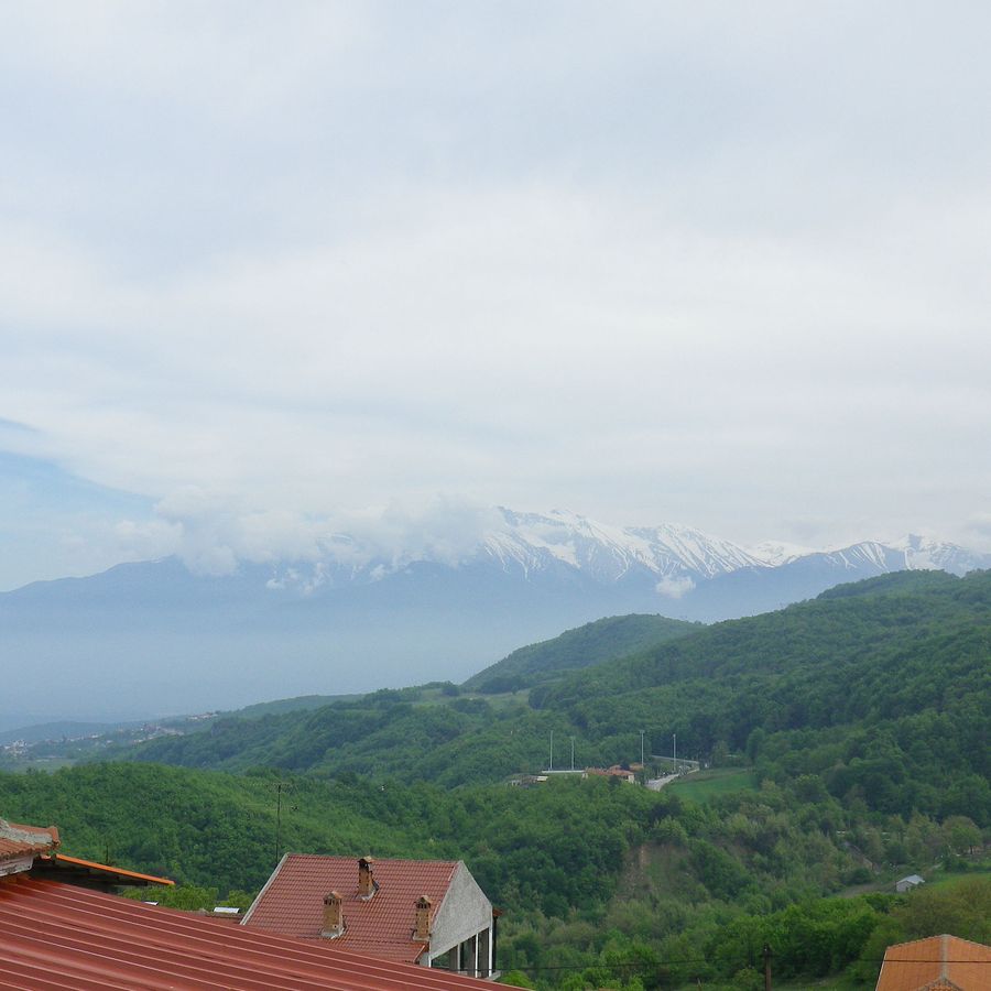 IMGP1078.JPG