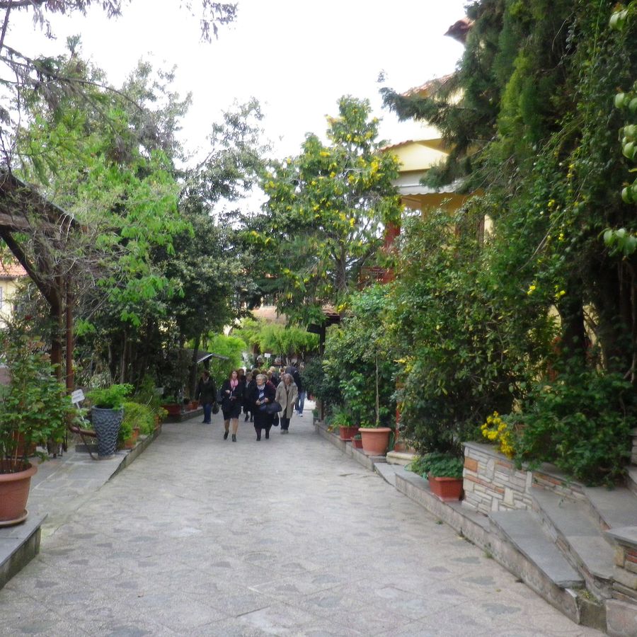 IMGP0011.JPG