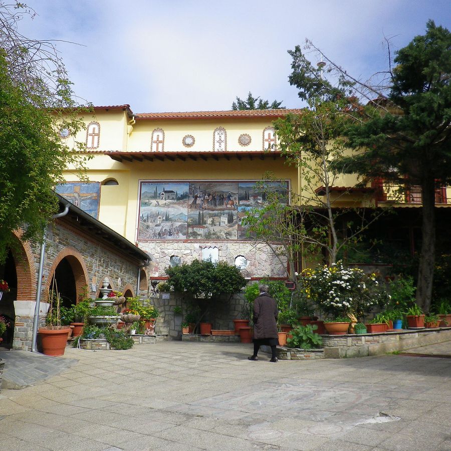 IMGP0010.JPG